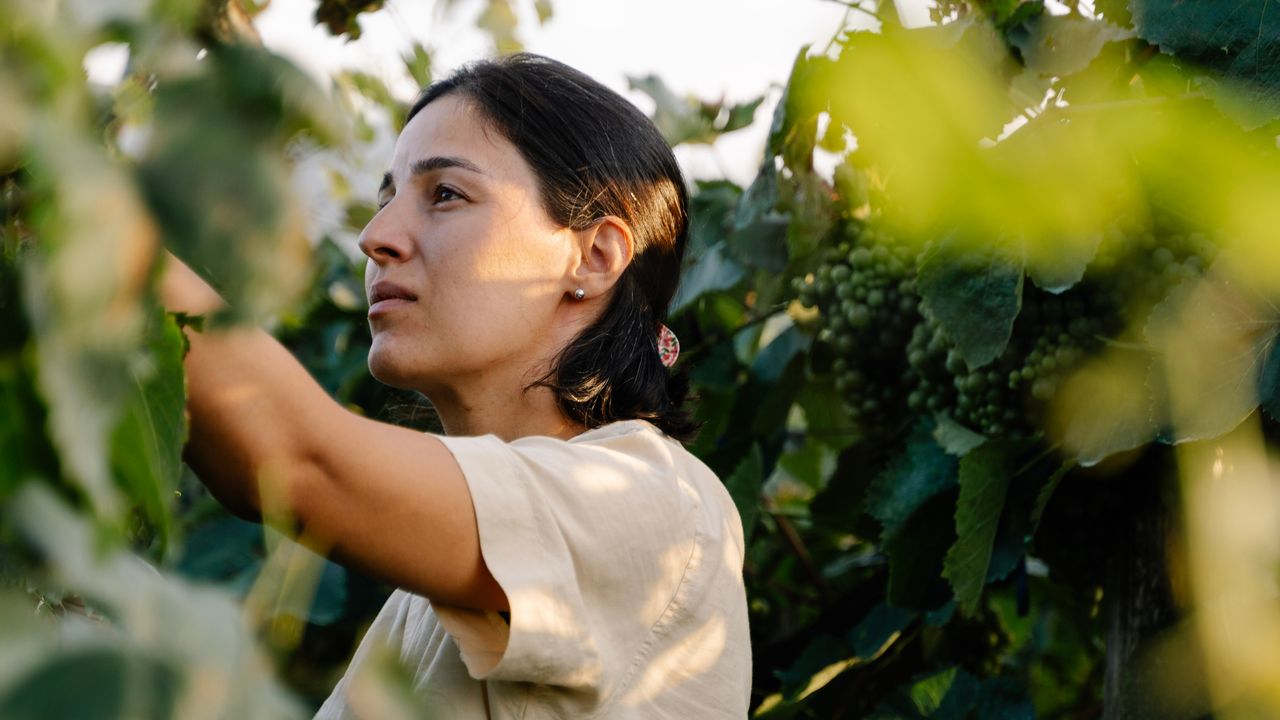 Meet the Women Winemakers Making Waves in Georgia, One of the World&rsquo;s Oldest Wine-Producing Countries